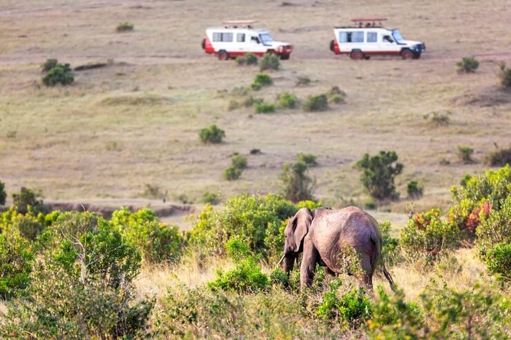 Lake Nakuru